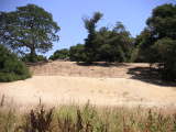 2005_07_22-13_12_21.jpg