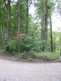 2012_09_25-17_06_52.jpg