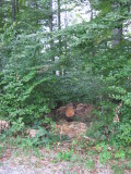 2012_09_25-17_10_26.jpg