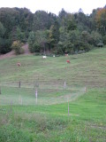 2012_09_25-17_51_28.jpg