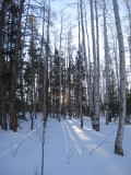 08_41_55.jpg