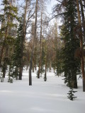 10_28_43.jpg