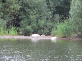 2014_06_23-11_42_35.jpg