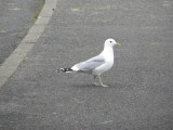 2014_06_26-16_33_27.jpg