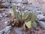14_12_29-15_27_47.jpg