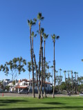 14_12_31-10_41_30.jpg