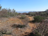 15_01_01-12_34_51.jpg