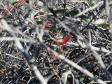 15_01_01-13_09_22.jpg