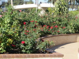 15_01_02-11_34_33.jpg