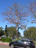 15_01_02-12_58_13.jpg
