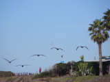 15_01_05-11_08_38.jpg