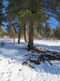 15_01_07-10_11_37.jpg