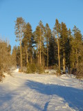 15_01_07-16_52_49.jpg