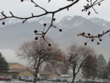 15_01_11-10_16_21.jpg