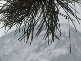 15_01_11-10_20_41.jpg