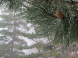 15_01_11-10_21_51.jpg