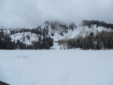 15_01_11-11_40_12.jpg