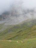 17_49_00.jpg