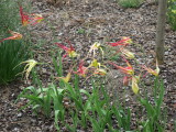 2019_05_08-11-45-35.jpg