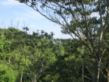 01_26-10_13_39.jpg