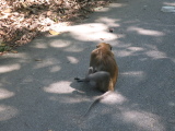 01_26-11_27_38.jpg
