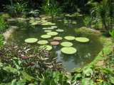 01_28-14_15_29.jpg