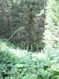 2020_08_25-12_49_09.jpg