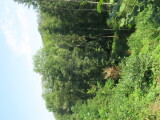 2020_08_11-10_22_48.jpg