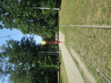 2020_08_13-12_10_28.jpg