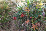 2021_09_07-10_27_59.jpg