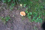 2021_09_08-10_09_23.jpg