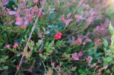 2021_09_08-10_33_20.jpg
