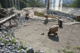 2021_09_09-11_00_02.jpg
