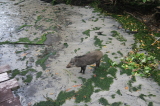 2022_10_19-13_08_10.001.jpg