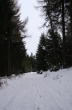 2022_12_19-09_20_07.jpg