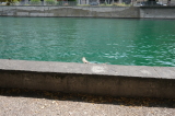 2023_07_01-11_30_07.jpg