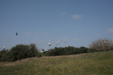 2024_03_21-11_47_33.jpg