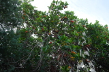 2024_10_07-09_54_35.jpg