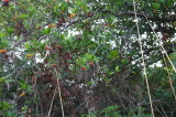 2024_10_07-09_55_00.jpg