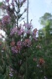 2024_10_07-11_20_27.jpg