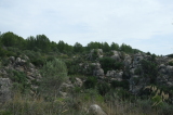 2024_10_07-13_49_27.jpg