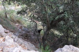 2024_10_08-10_52_15.jpg