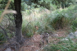 2024_10_08-10_55_39.jpg