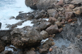 2024_10_08-13_18_19.jpg