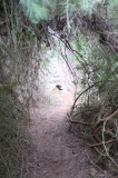 2024_10_09-11_05_33.jpg