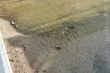 2024_10_09-14_39_02.jpg