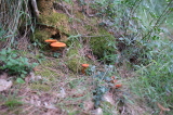 2024_10_10-08_54_01.jpg