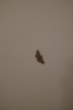 2024_10_11-09_41_18.jpg