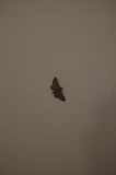 2024_10_11-09_41_21.jpg