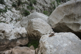 2024_10_11-12_42_23.jpg